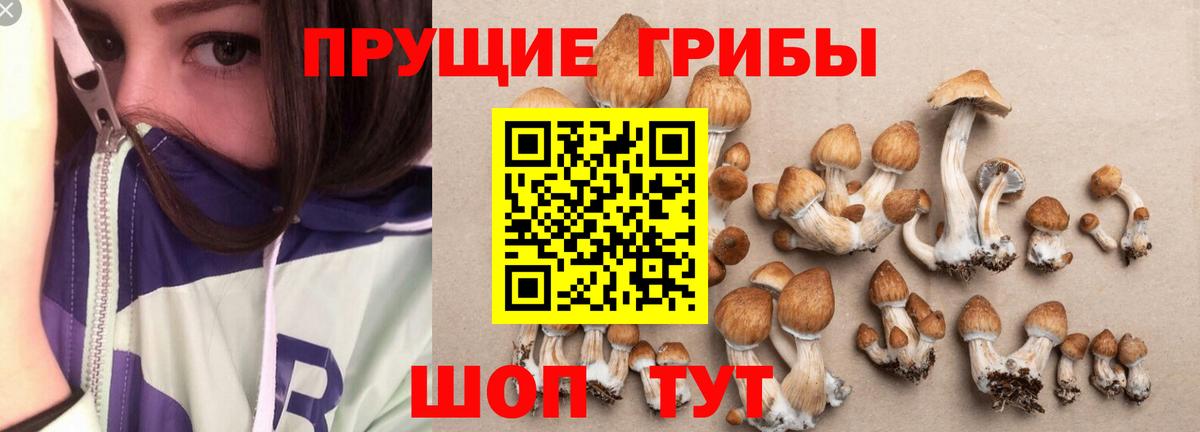 Галлюциногенные грибы мухоморы  Вход с VPN  Кингисепп 